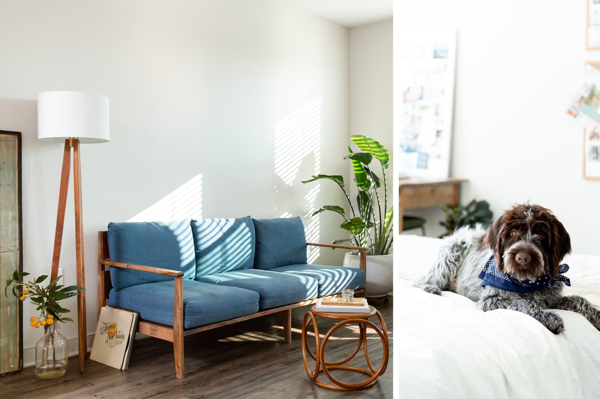 Hand's Recent Articles Apartment Therapy
